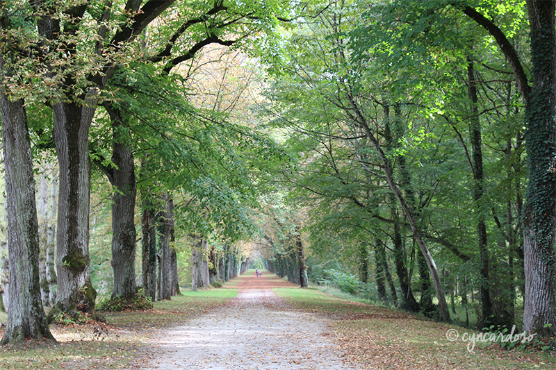 Viagem: Conhecendo o Castelo de Chenonceau no Vale do Loire