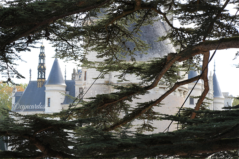 Castelo de Chenonceau